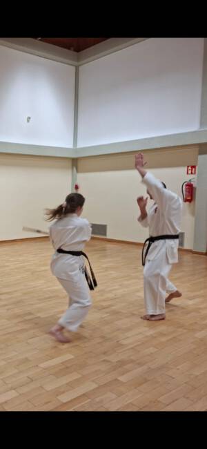 Kampfkunstzentrum Gerolsheim DAN Prüfung (5)